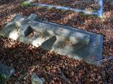 image of grave number 910591